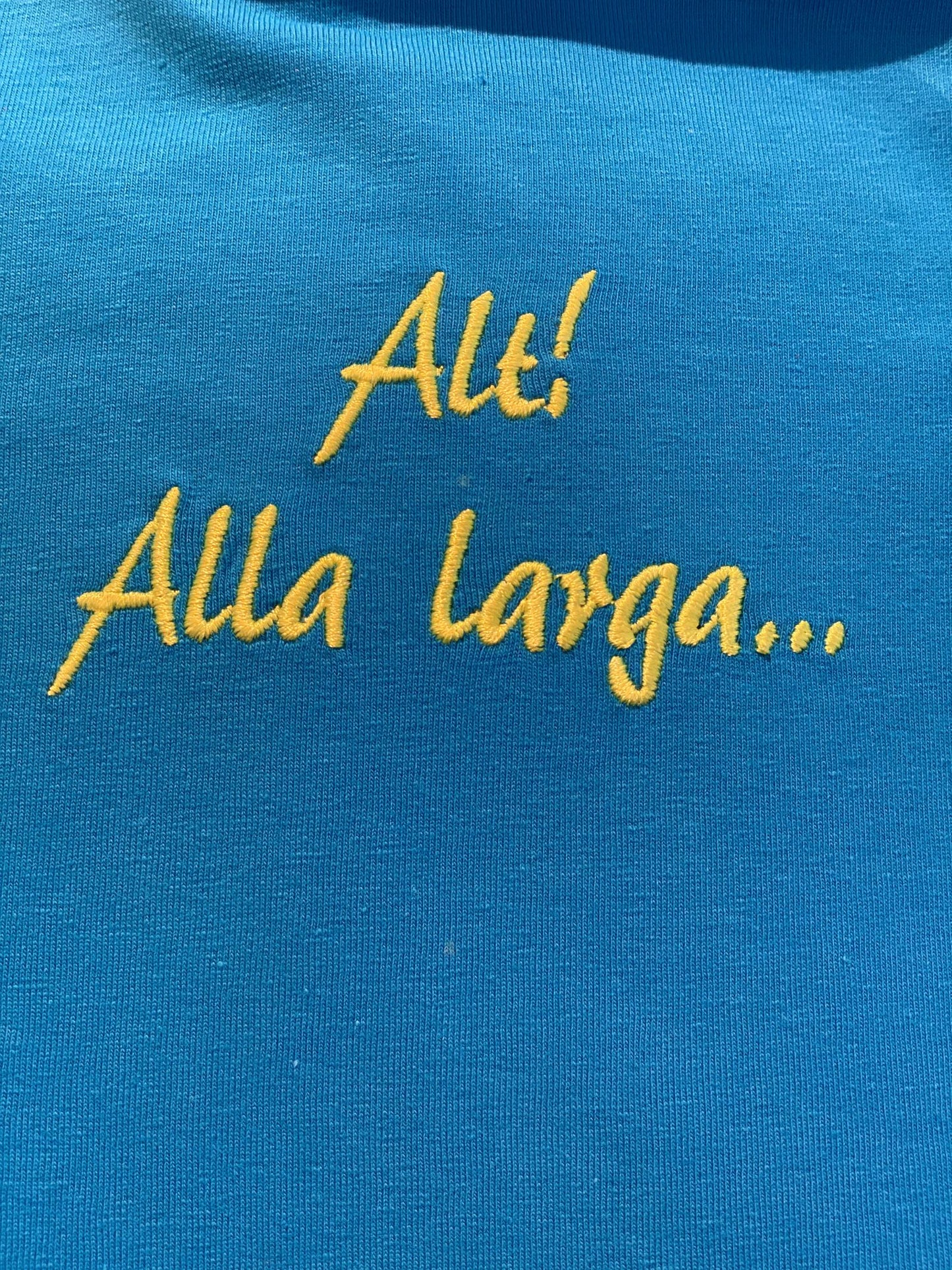 Plain T-Shirt with Embroidered Phrases